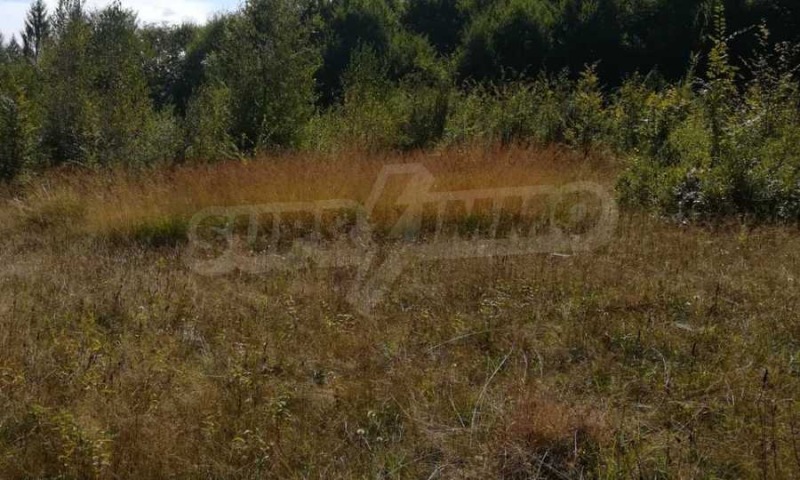 На продаж  Сюжет область Ловеч , Рибарица , 1169 кв.м | 15346243 - зображення [14]