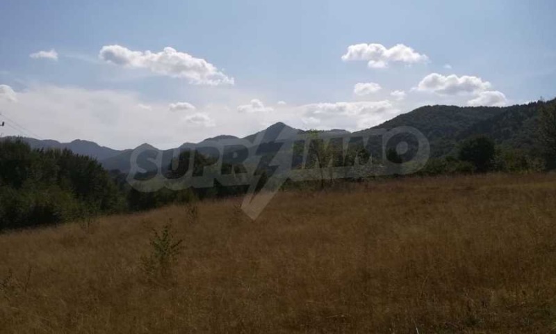 На продаж  Сюжет область Ловеч , Рибарица , 1169 кв.м | 15346243 - зображення [17]