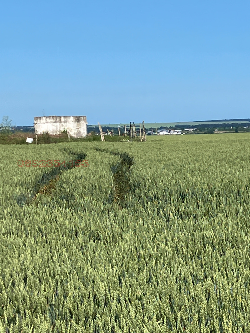 Til salgs  Land region Varna , Vaglen , 9 dka | 83923822 - bilde [2]