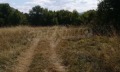 Продава ПАРЦЕЛ, област Ловеч, с. Рибарица • 23380 € • 67927445 — Holmes.bg
