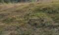 Продава ПАРЦЕЛ, област Ловеч, с. Рибарица • 23380 € • 67927445 — Holmes.bg