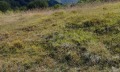 Продава ПАРЦЕЛ, област Ловеч, с. Рибарица • 23380 € • 67927445 — Holmes.bg