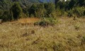 Продава ПАРЦЕЛ, област Ловеч, с. Рибарица • 23380 € • 67927445 — Holmes.bg