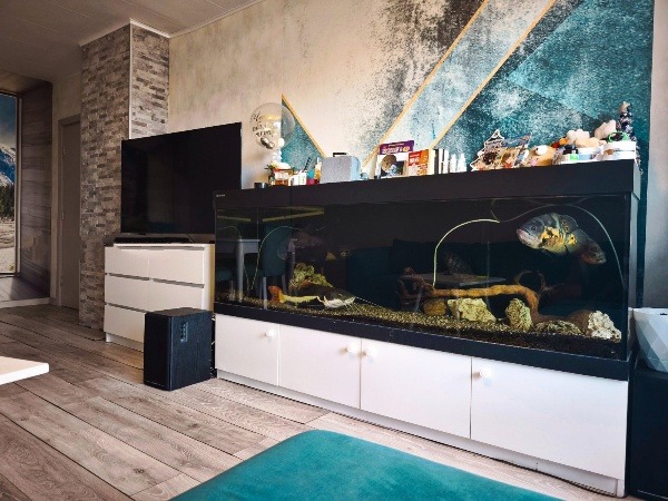 ������� 2-����� | Imot.bg � ����������� 7