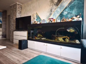 ������� 2-����� | Imot.bg � ����� ������ 7