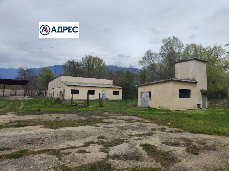 For Sale  Industrial building region Plovdiv , Hristo Danovo , 10804 sq.m | 99634359 - image [2]