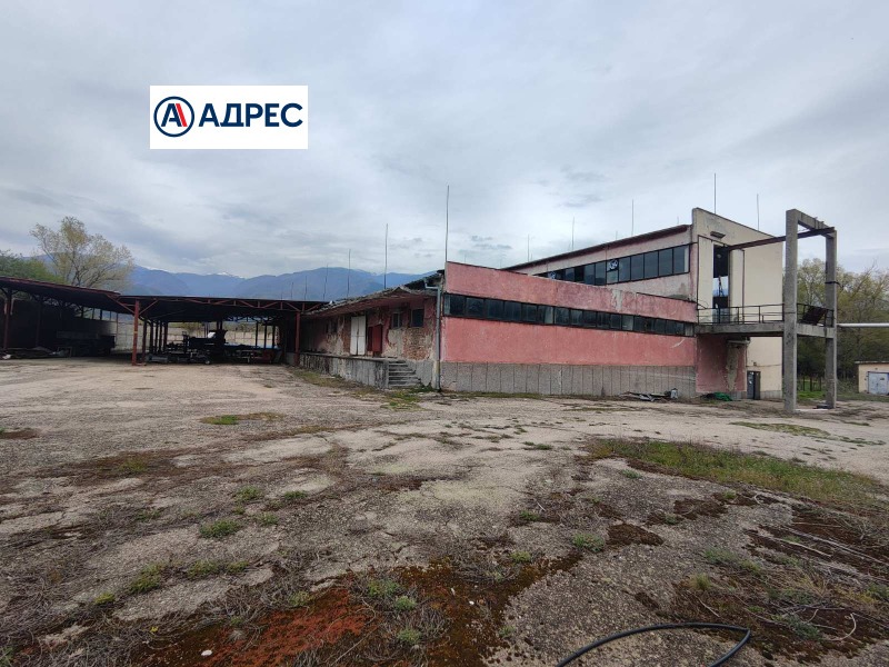 For Sale  Industrial building region Plovdiv , Hristo Danovo , 10804 sq.m | 99634359 - image [6]