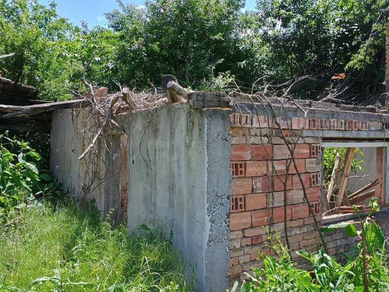 Продава ПАРЦЕЛ, с. Обнова, област Плевен, снимка 14 - Парцели - 52780451