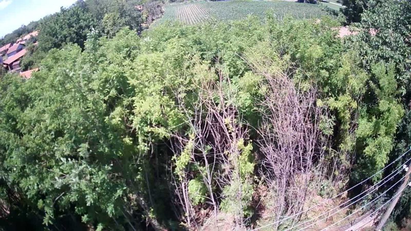 Продава ПАРЦЕЛ, с. Обнова, област Плевен, снимка 5 - Парцели - 52780451