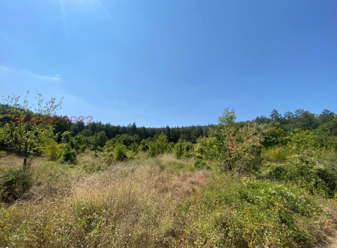 Продава ПАРЦЕЛ, с. Колена, област Стара Загора, снимка 2 - Парцели - 56038277