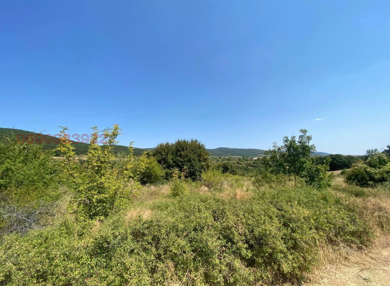 Продава ПАРЦЕЛ, с. Колена, област Стара Загора, снимка 4 - Парцели - 56038277