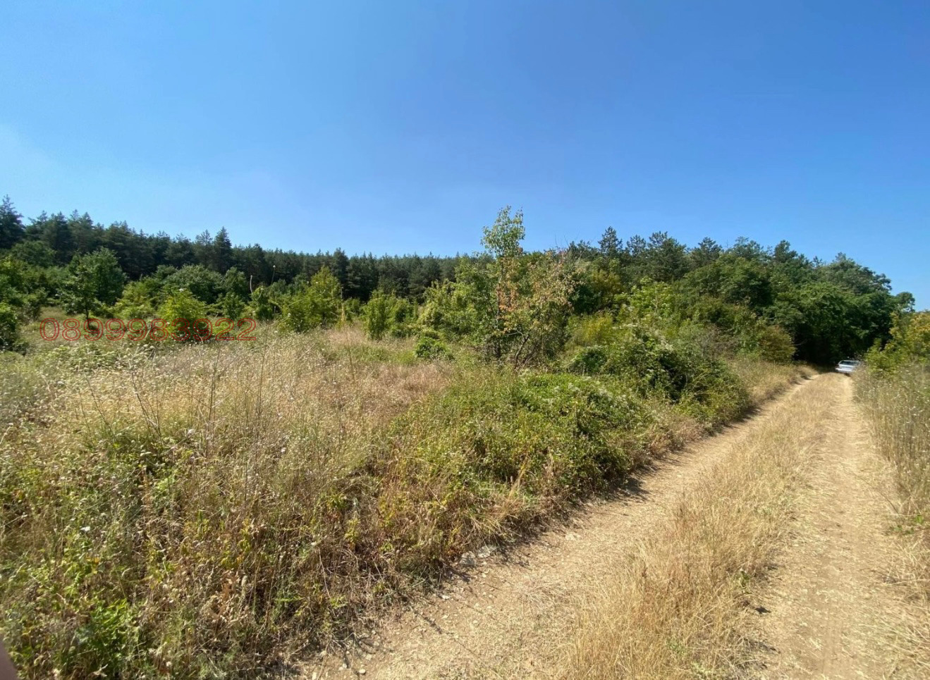 Продава ПАРЦЕЛ, с. Колена, област Стара Загора, снимка 3 - Парцели - 56038277