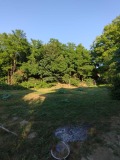 Продава КЪЩА, област Плевен, с. Горталово • 38000 € • 80814458 — Holmes.bg