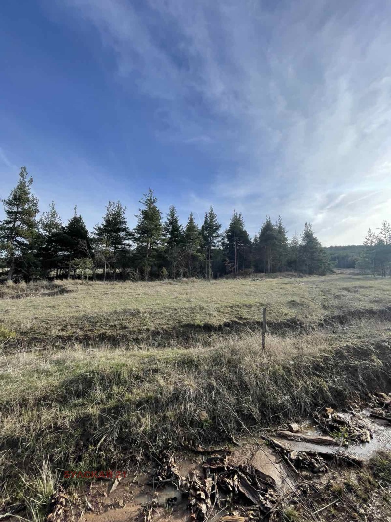 Продава ХОТЕЛ, с. Белчин, област София област, снимка 2 - Хотели - 52565363