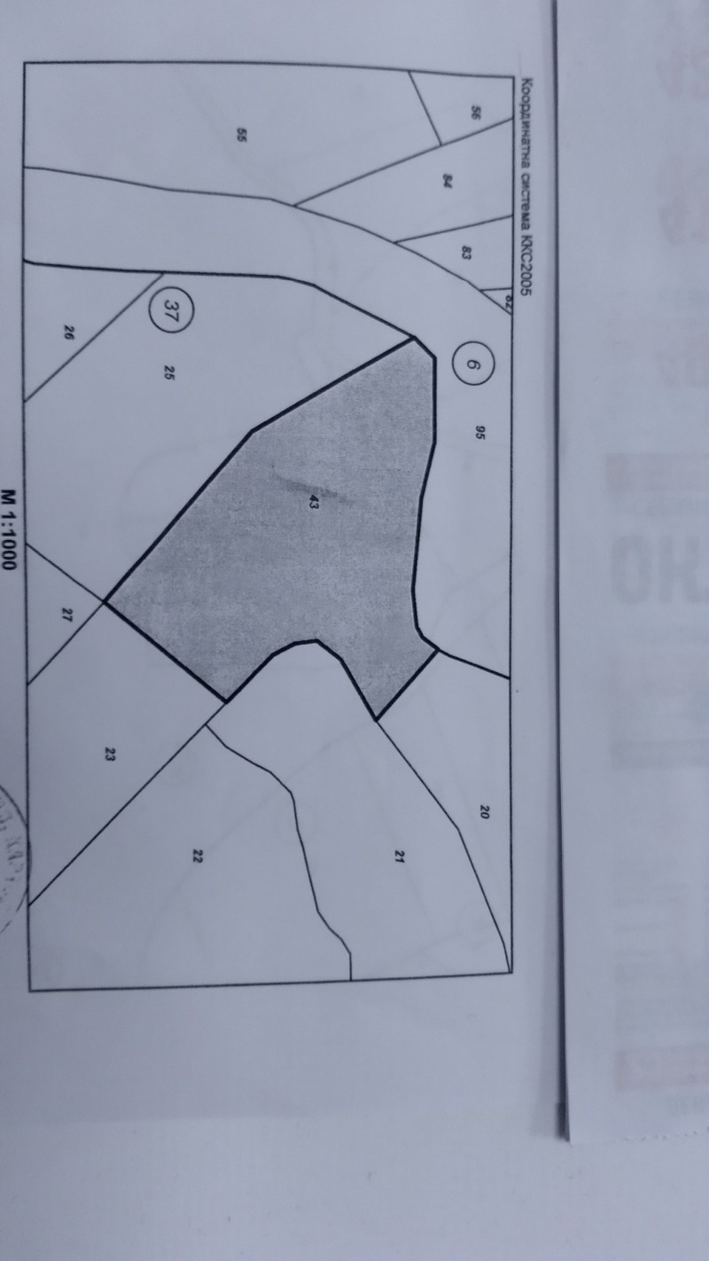 Продава ЗЕМЕДЕЛСКА ЗЕМЯ, с. Жиленци, област Кюстендил, снимка 3 - Земеделска земя - 52332673