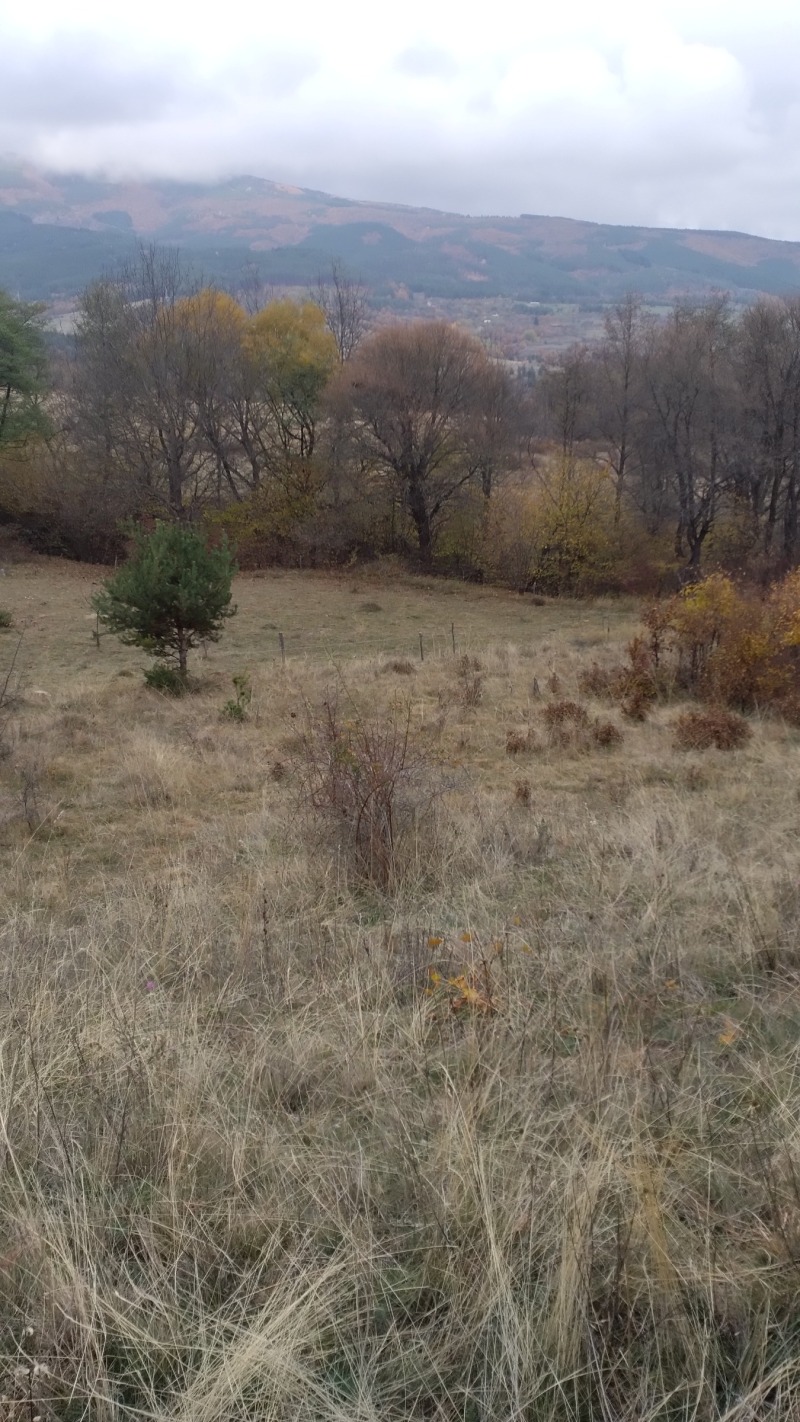 Продава ЗЕМЕДЕЛСКА ЗЕМЯ, с. Жиленци, област Кюстендил