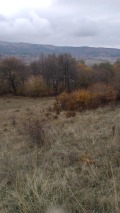 Продава ЗЕМЕДЕЛСКА ЗЕМЯ, с. Жиленци, област Кюстендил, снимка 2