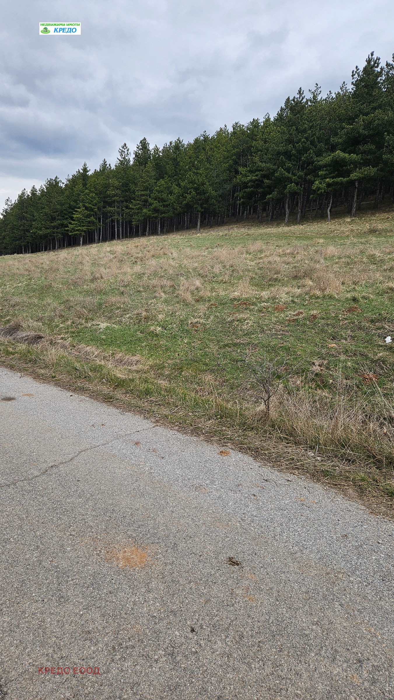 ������� ������ | Imot.bg � ����������� 1