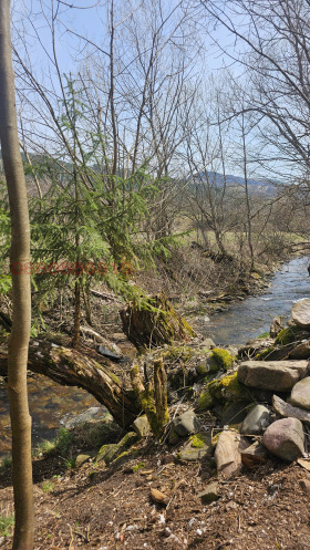 ������� ������ | Imot.bg � ����� ������ 4