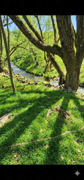 ����� ������� ������,�. �����, ������ �����