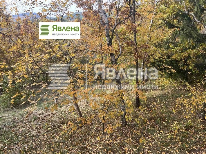 Продава КЪЩА, с. Дръмша, област София област, снимка 2 - Къщи - 52556158