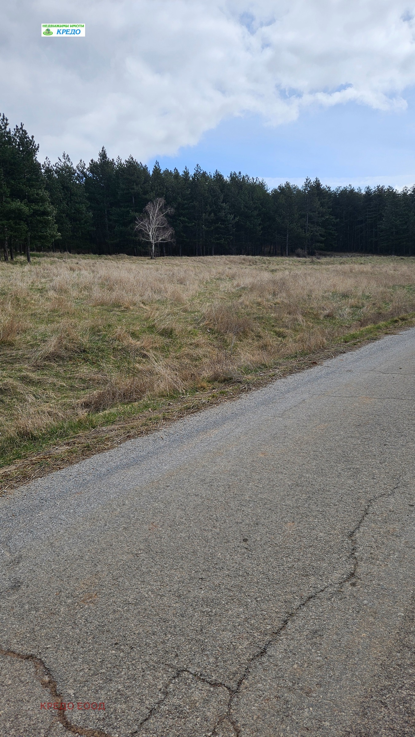 Продава ПАРЦЕЛ, с. Гълъбник, област Перник, снимка 3 - Парцели - 53958802