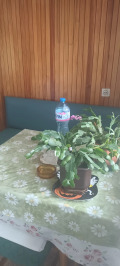 Продава  2-стаен град София , Иван Вазов , 64 кв.м | 70959670 - изображение [13]