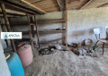 Продава КЪЩА, област Пловдив, с. Ръжево Конаре • 49980 € • 28569293 — Holmes.bg