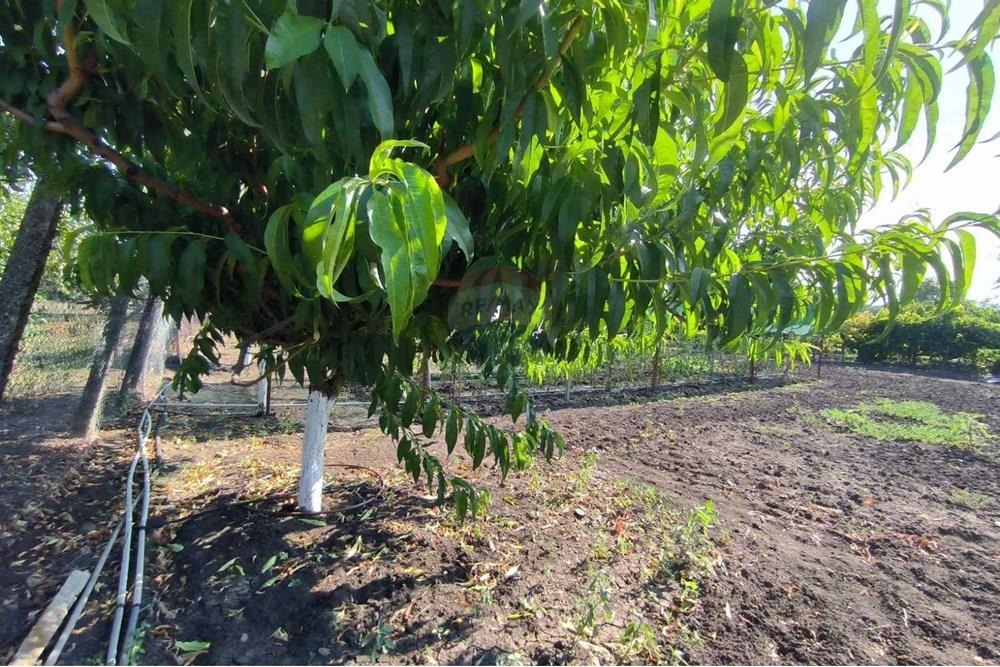 ������� ���� | Imot.bg � ����������� 12