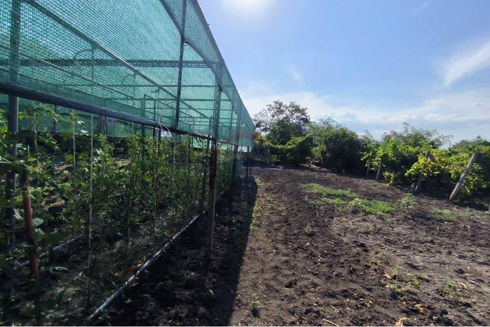 ������� ���� | Imot.bg � ����������� 14