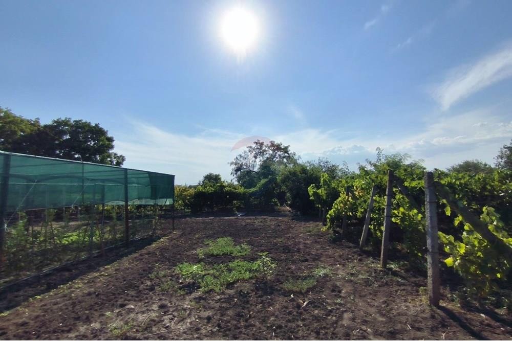 ������� ���� | Imot.bg � ����������� 13