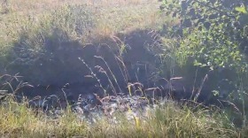������� ������ | Imot.bg � ����� ������ 2
