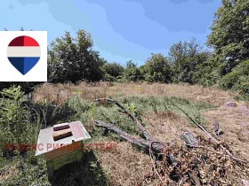 ������� ���� | Imot.bg � ����� ������ 8