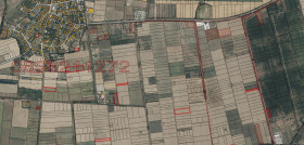 ����� ������� ������,�. ����������, ������ �������