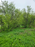Продава ПАРЦЕЛ, с. Гривица, област Плевен, снимка 6