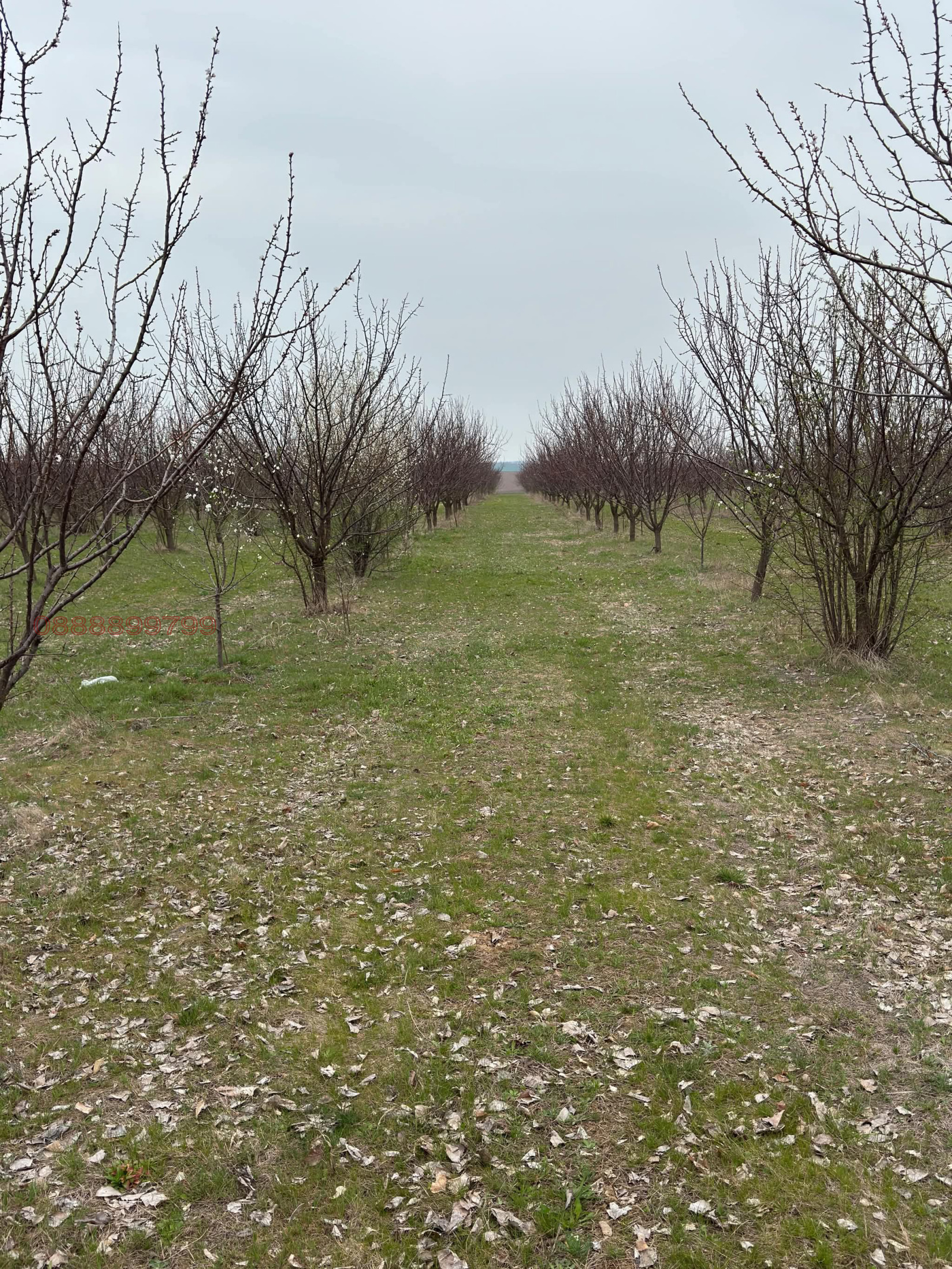 Продава ЗЕМЕДЕЛСКА ЗЕМЯ | Imot.bg — изображение 7