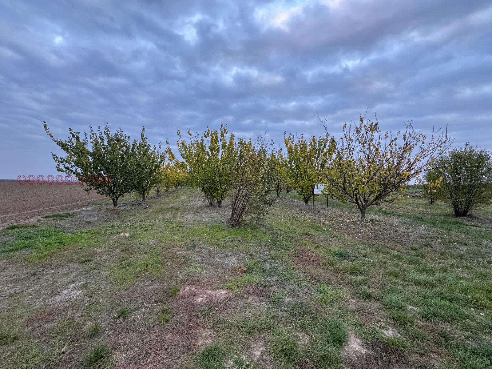 Продава ЗЕМЕДЕЛСКА ЗЕМЯ | Imot.bg — изображение 4