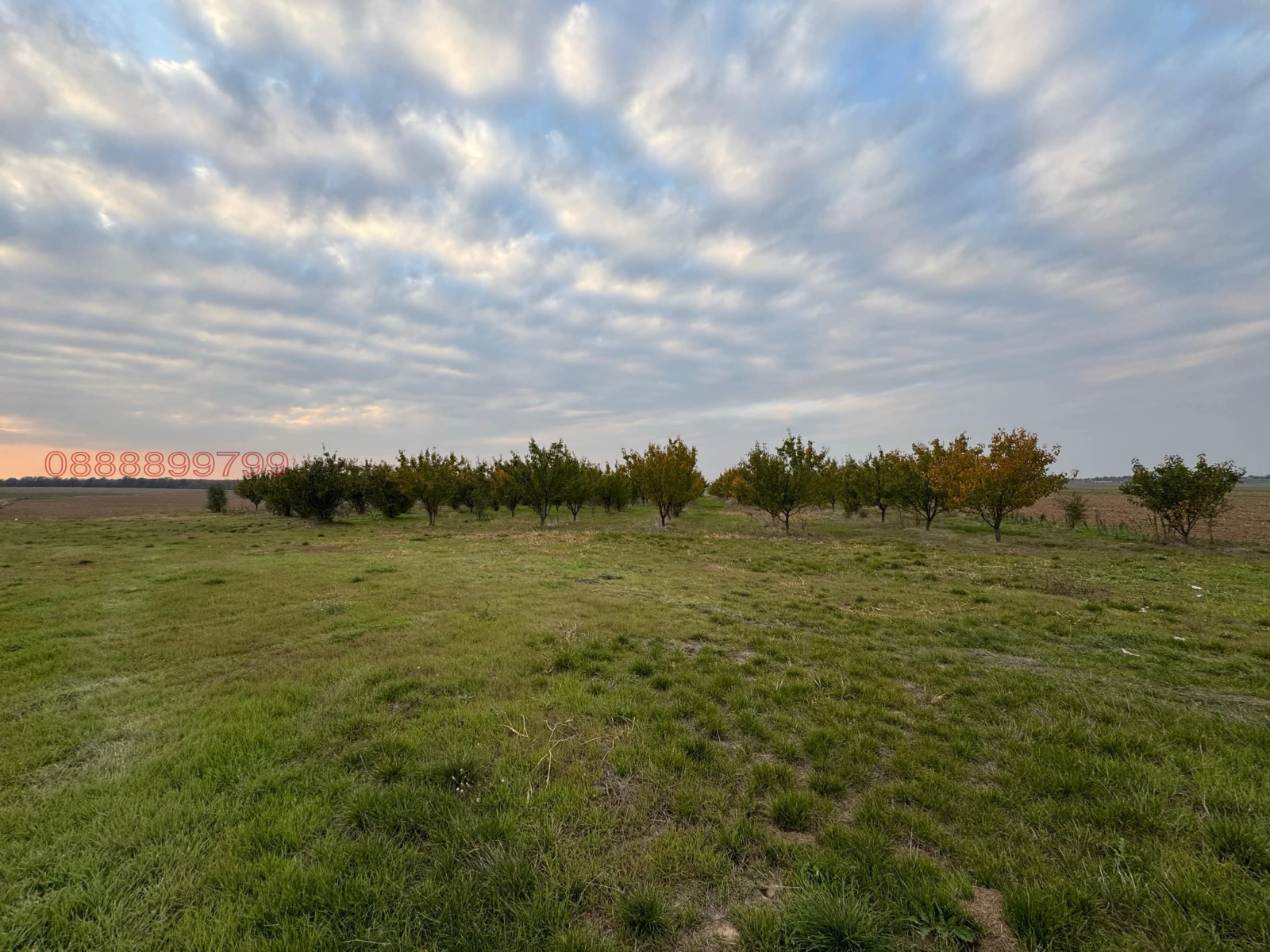 Продава ЗЕМЕДЕЛСКА ЗЕМЯ | Imot.bg — изображение 5