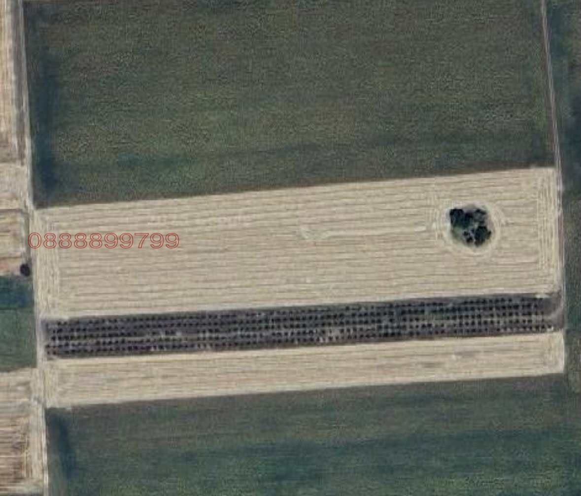 Продава ЗЕМЕДЕЛСКА ЗЕМЯ | Imot.bg — изображение 1