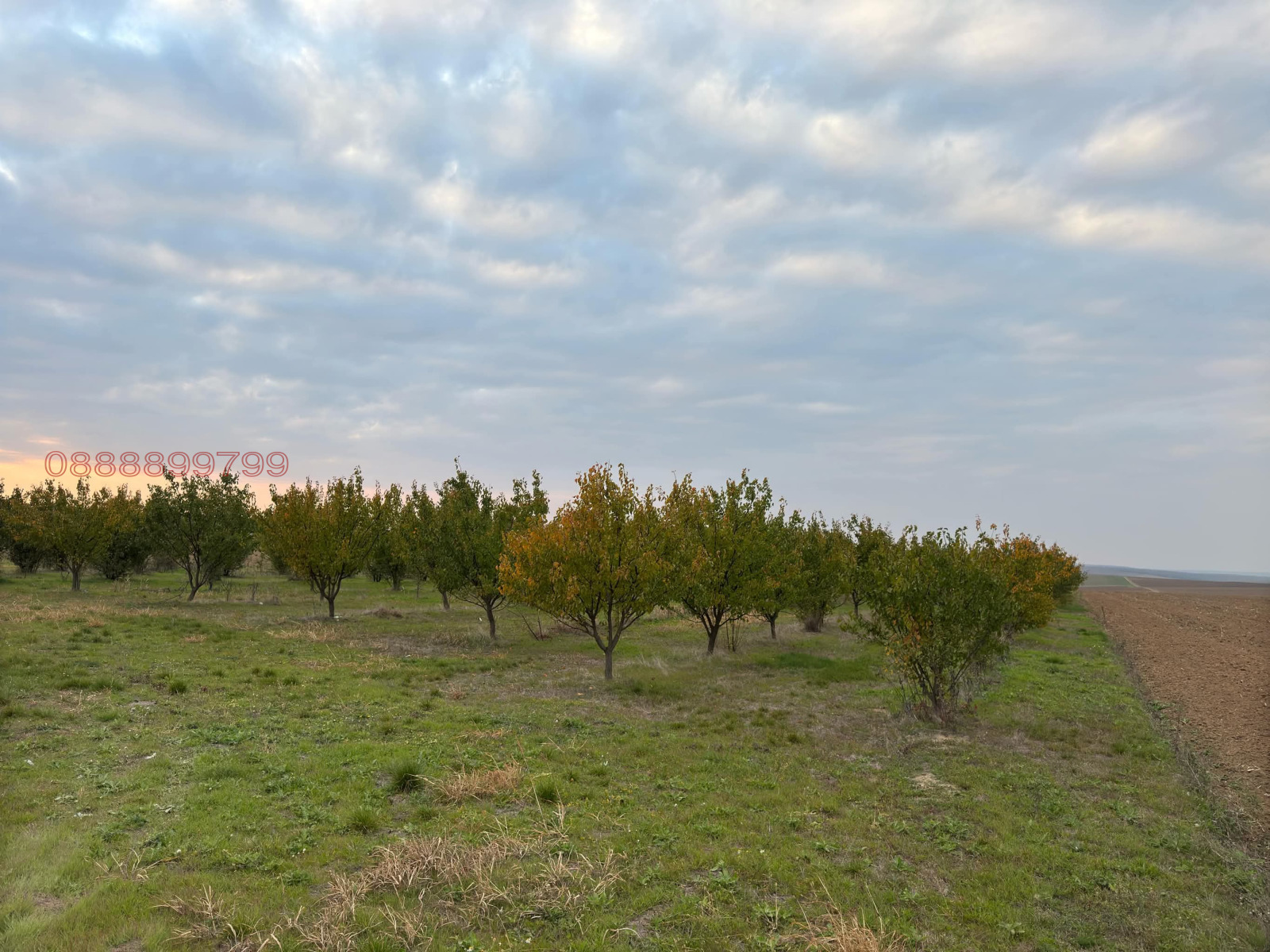 Продава ЗЕМЕДЕЛСКА ЗЕМЯ | Imot.bg — изображение 8