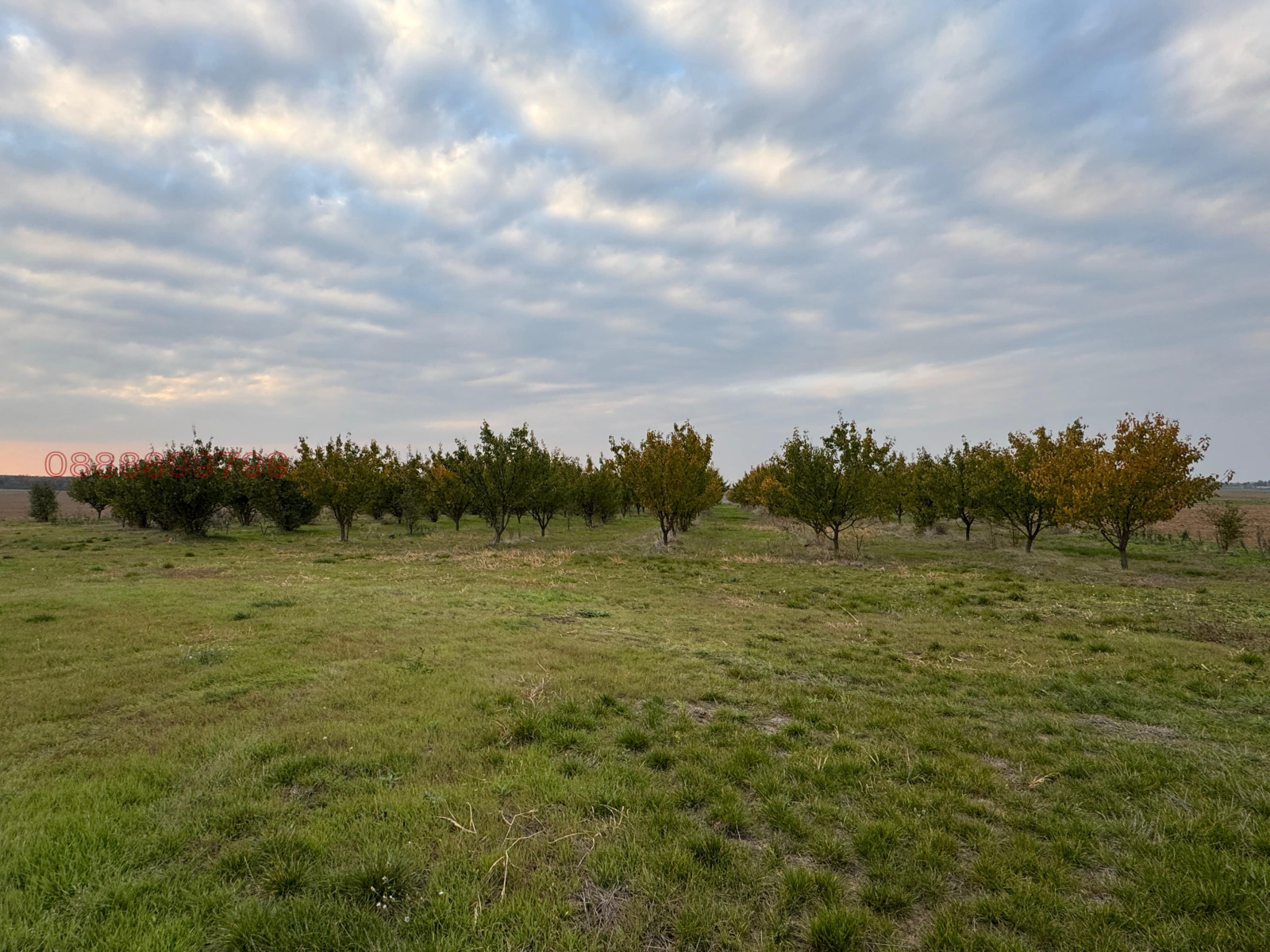 Продава ЗЕМЕДЕЛСКА ЗЕМЯ | Imot.bg — изображение 3