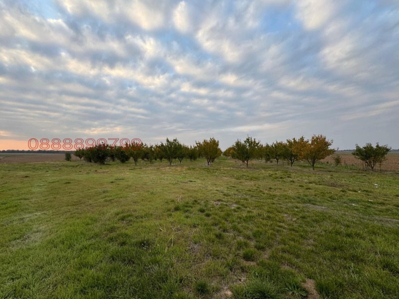Продава  Земеделска земя област Силистра , с. Чернолик , 22.5 дка | 11250529 - изображение [4]