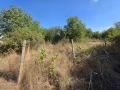 Продава ПАРЦЕЛ, с. Царичино, област Добрич, снимка 3