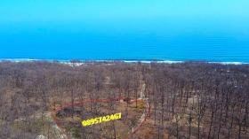 ����� ������� ������,�. �����������, ������ �����