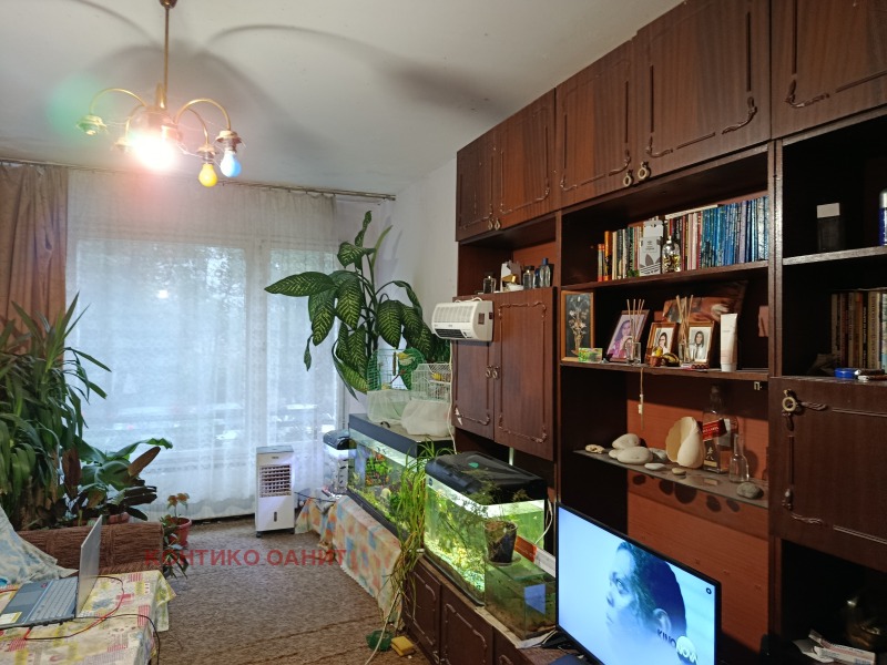 Til salgs  Studio Sofia , Banisjora , 50 kvm | 25111858