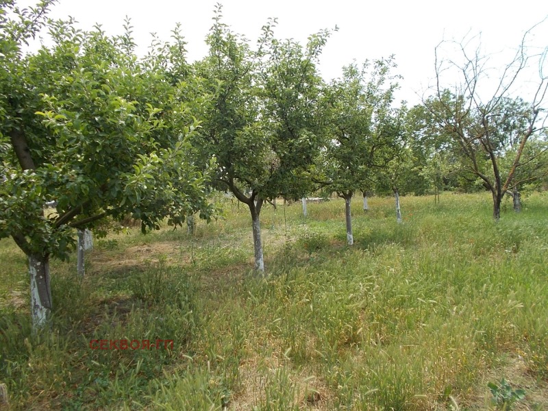 Продава  Къща област Добрич , с. Ведрина , 78 кв.м | 42873236 - изображение [6]
