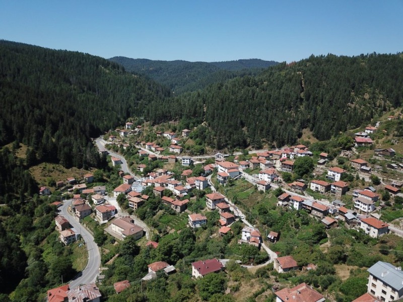 For Sale  Storage region Smolyan , Vievo , 720 sq.m | 40849986 - image [9]