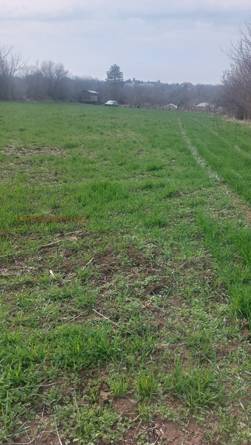 Продава ПАРЦЕЛ, с. Дуранкулак, област Добрич, снимка 5 - Парцели - 52786237