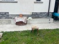 Продава КЪЩА, с. Дерманци, област Ловеч, снимка 4