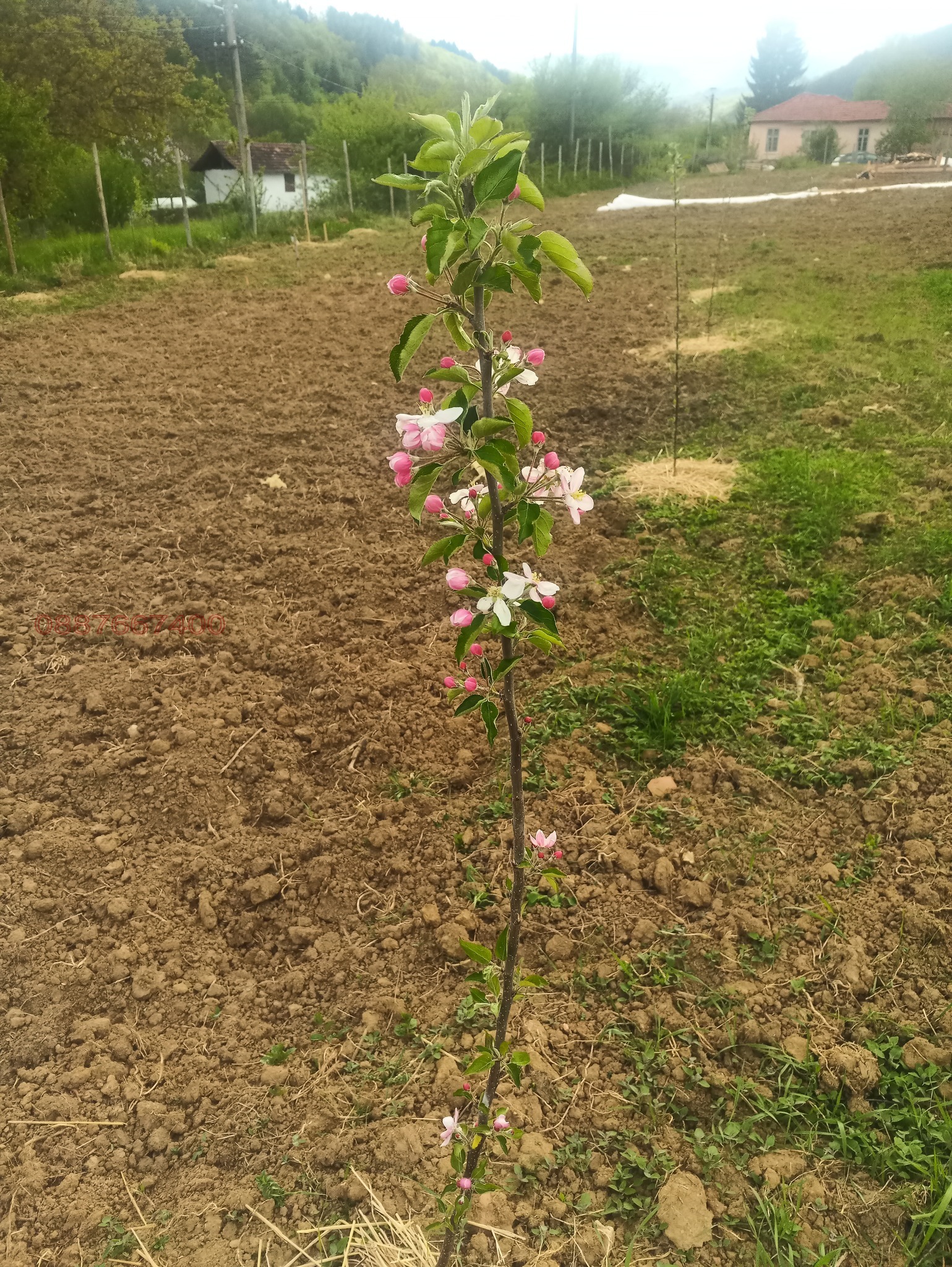 ������� ���������� ���� | Imot.bg � ����������� 4